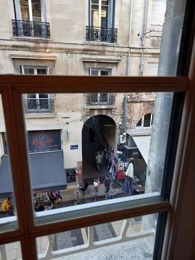 Appartement Studio cocooning centre historique d Avignon